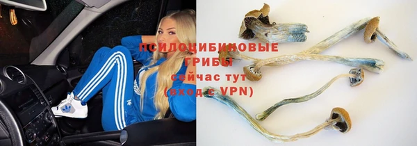 тгк Богданович