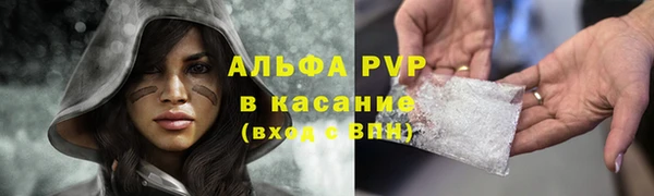 jwh Снежногорск