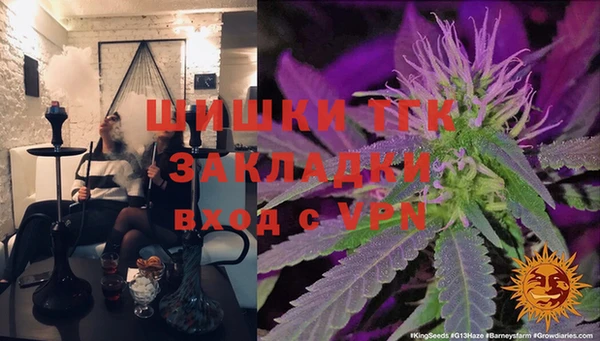 дмт Богородск