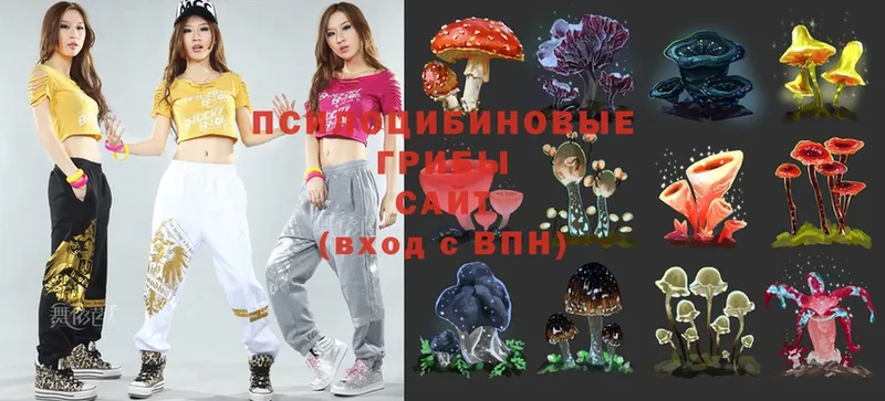 купить наркотик  Вятские Поляны  Псилоцибиновые грибы Magic Shrooms 