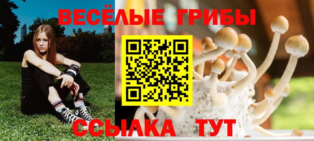 Галлюциногенные грибы Psilocybine cubensis  Вятские Поляны 
