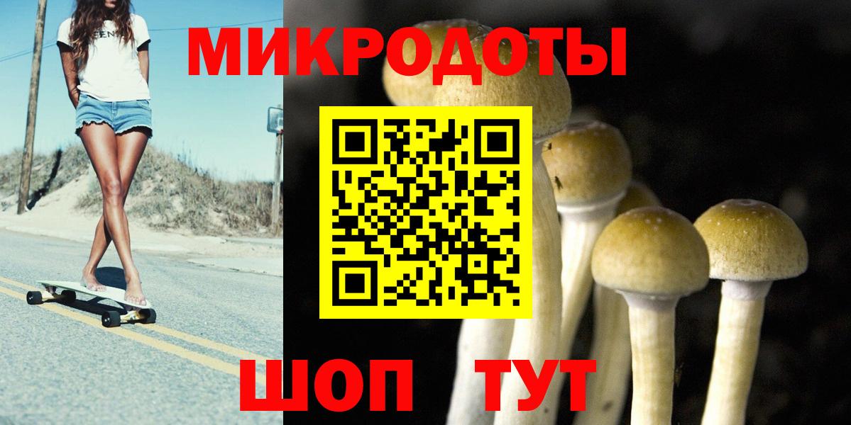 закладка  Вход с VPN  Вятские Поляны  Псилоцибиновые грибы мицелий 