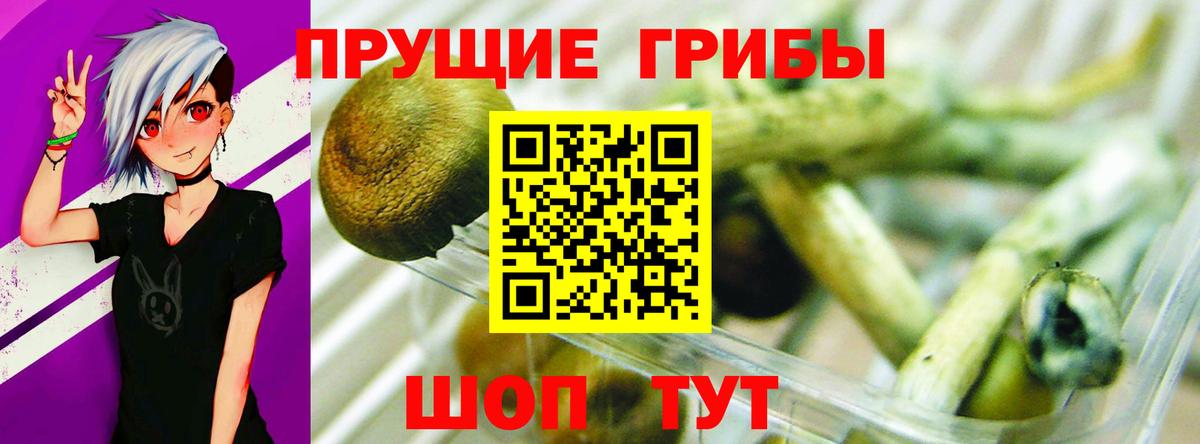 Псилоцибиновые грибы мухоморы Вятские Поляны